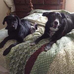 Meet your Posher, Barbara